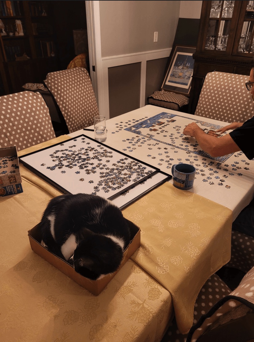Best Brain Games for Adults: Jigsaw Puzzles