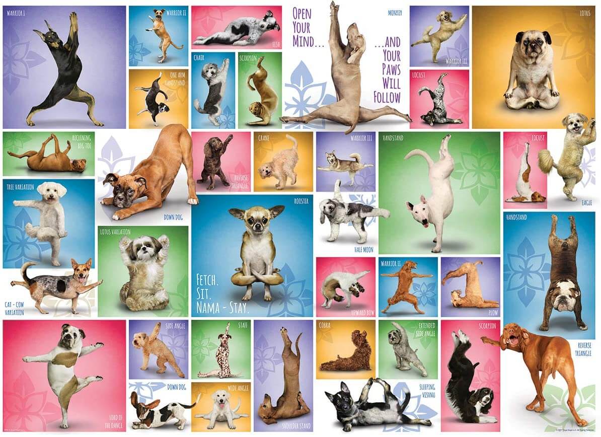 A collage of dogs in different yoga poses on different colored backgrounds