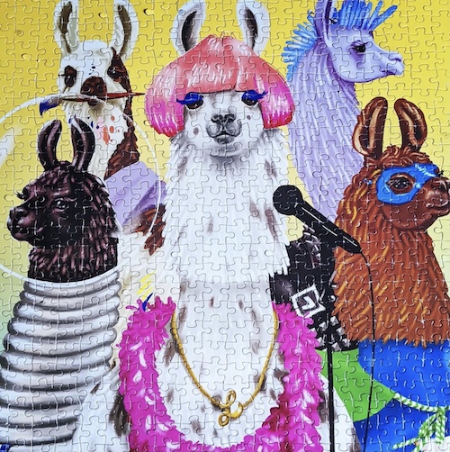 A puzzle with a ellow background and five llamas dressed up as a band showing ribbon cut style