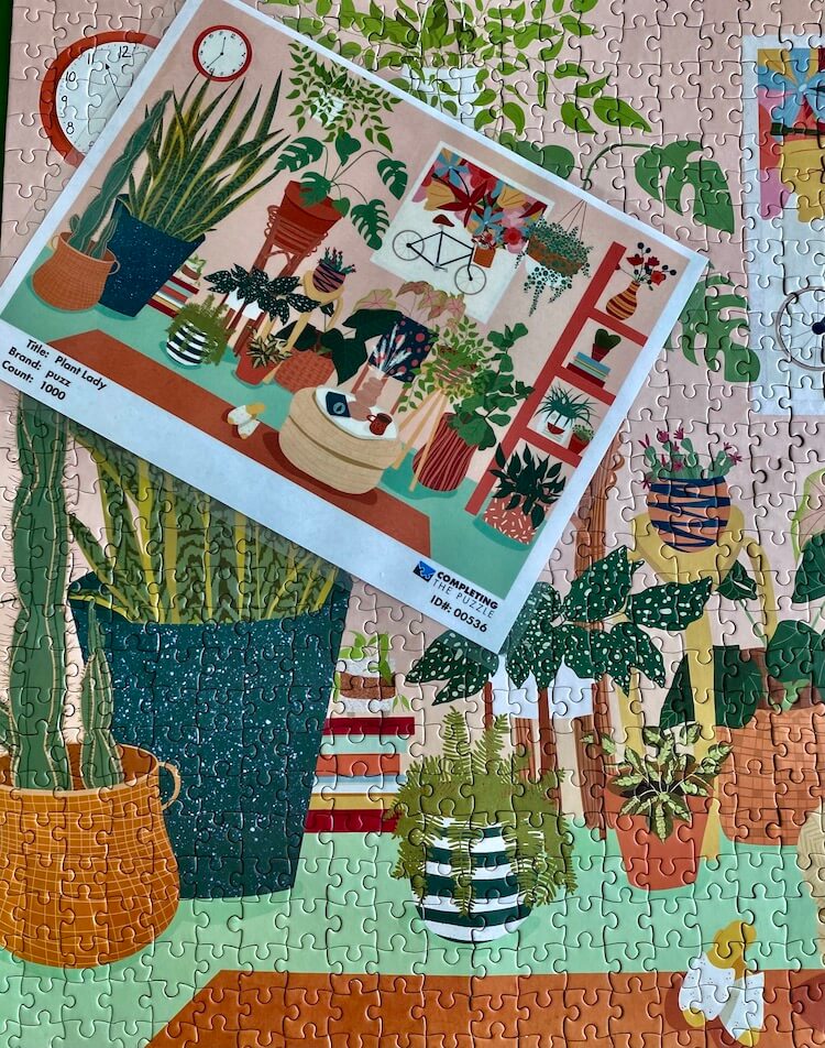 Completed puzzle of Plant Lady with legend on top depicting houseplants inside a room