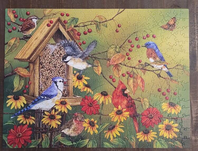 Puzzle of 3 blue birds, 1 red bird and 2 brown birds at a bird feeder